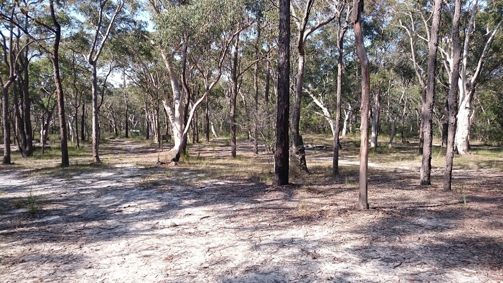 Tunks Ridge Rest Area | campground | Quarry Trail, Dural NSW 2158, Australia