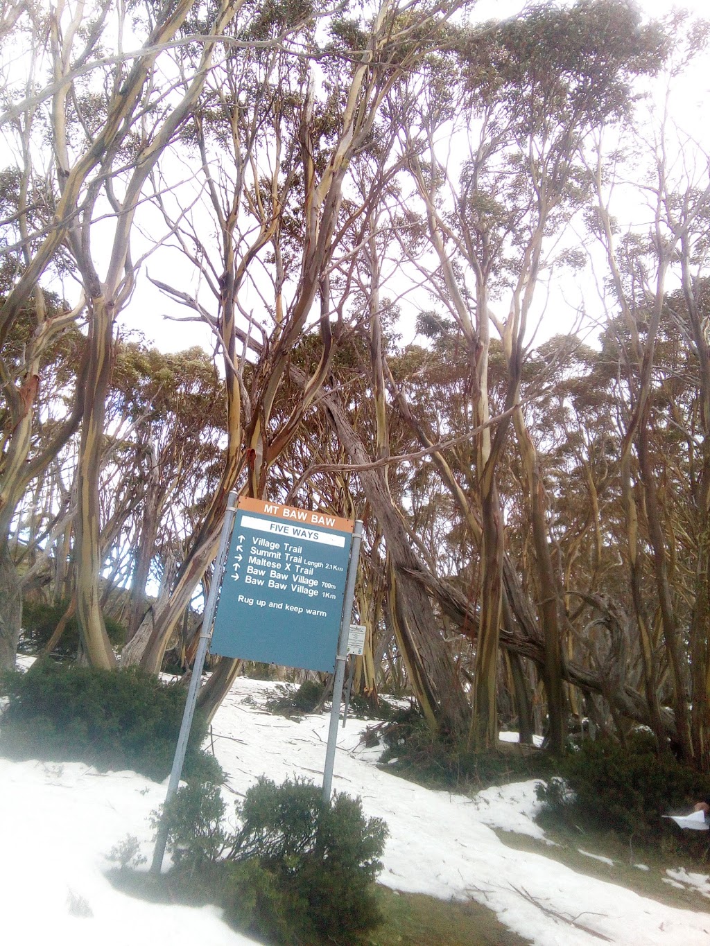 Mt Baw Baw Winter Guest Services | travel agency | Currawong Rd, Baw Baw Village VIC 3833, Australia | 0351651136 OR +61 3 5165 1136