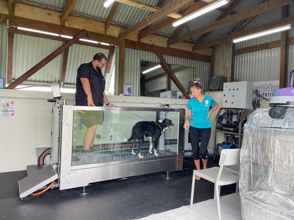Kylies K9 Hydrotherapy | 25 Alkoomie Pl, Wilton NSW 2571, Australia | Phone: 0419 666 673