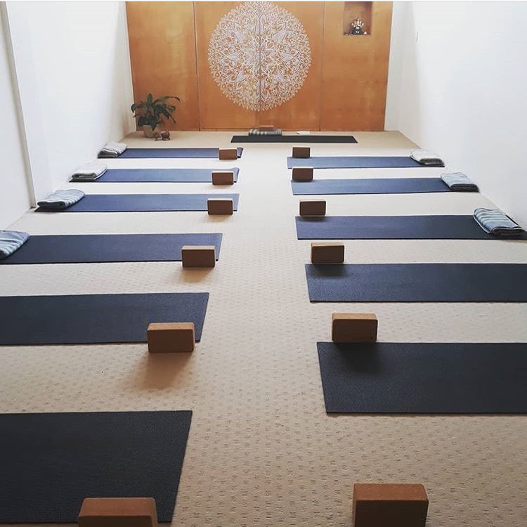 The Yoga Collective Central Coast | 3, 310 The Entrance Road Level 2, The Lifestyle Building, Erina NSW 2250, Australia | Phone: 0400 701 044