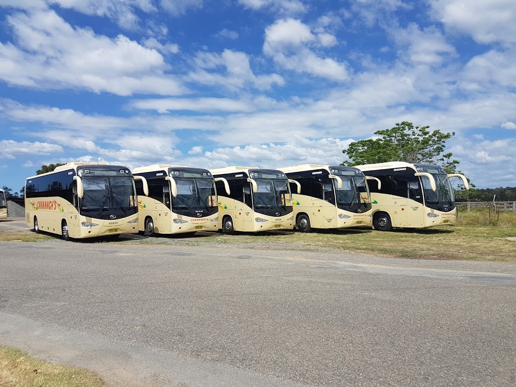 Cavanagh Bus & Coach | 1 Tozer St, Kempsey NSW 2440, Australia | Phone: (02) 6562 7800