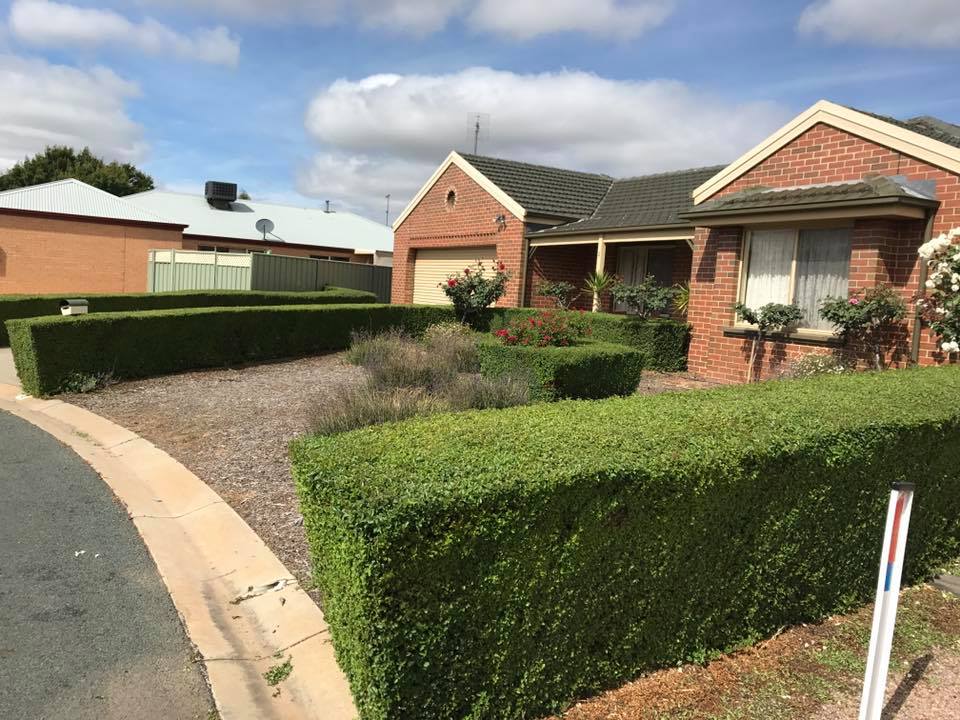 A to Z Lawn, Gardening & Home maintenance | 5 Hero Ct, Echuca VIC 3564, Australia | Phone: 0428 324 481