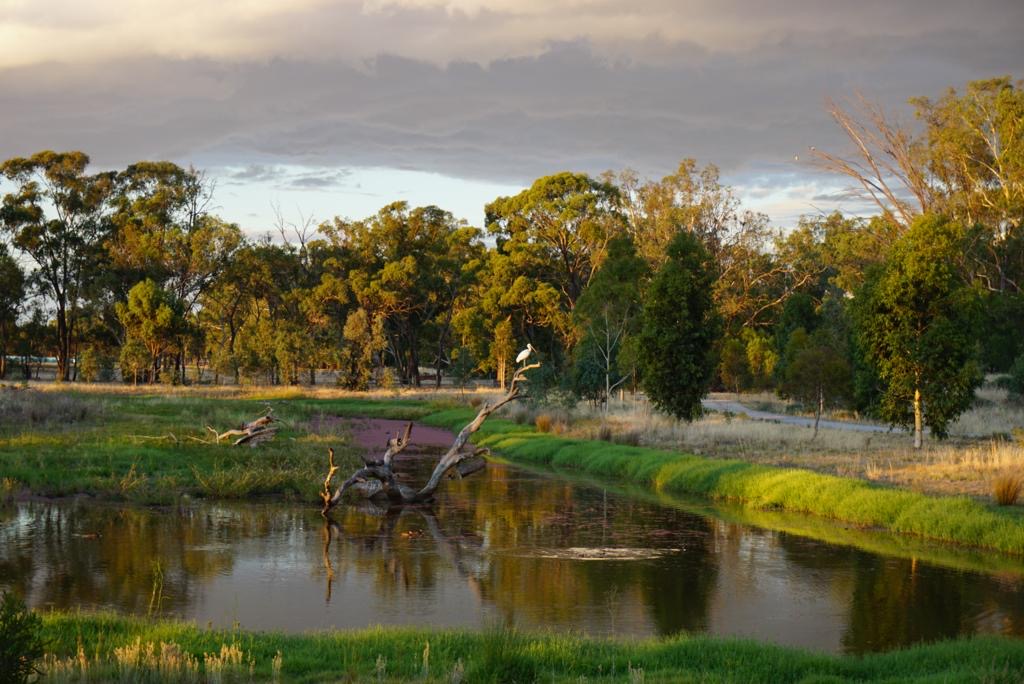 Murrord Wetlands | 9 Johnsons Ln, Strathmerton VIC 3641, Australia | Phone: 0458 745 211