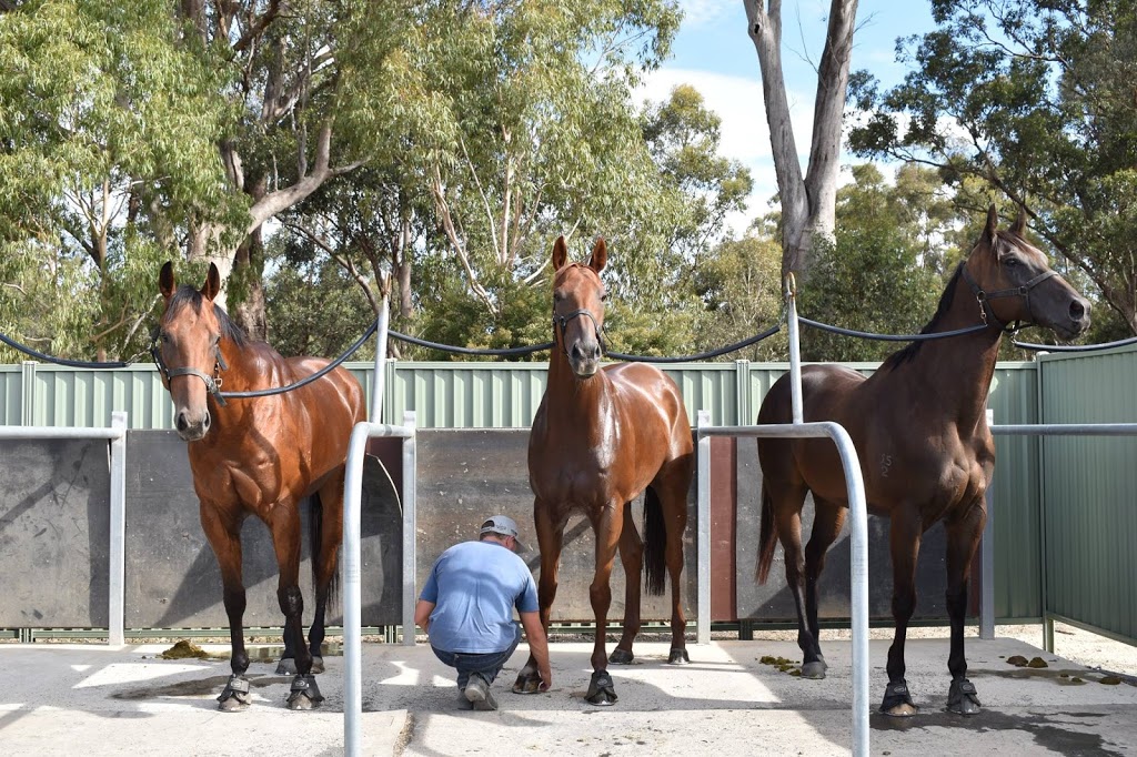 Brisbourne Racing | Racecourse Rd, Wangaratta VIC 3677, Australia | Phone: 0404 436 172