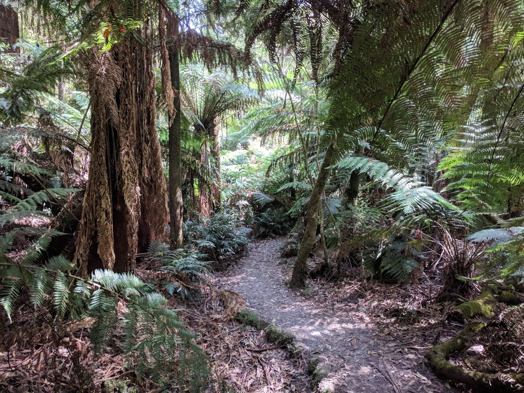 La La Falls Car Park | park | 25 Irruka Rd, Warburton VIC 3799, Australia | 131963 OR +61 131963