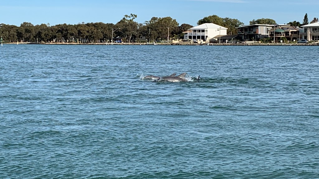 Mandurah Boat Hire | 20A Ormsby Terrace, Mandurah WA 6210, Australia | Phone: (08) 9535 5877