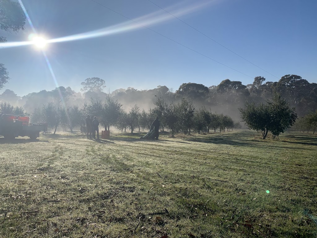 Quartz Hill Olive Oil | 197 Portwines Rd, Lauriston VIC 3444, Australia | Phone: 0412 126 650