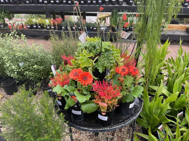 Aussie Outdoor Nursery & Emporium Ballarat | 9527 Western Fwy, Warrenheip VIC 3352, Australia | Phone: (03) 5331 8272