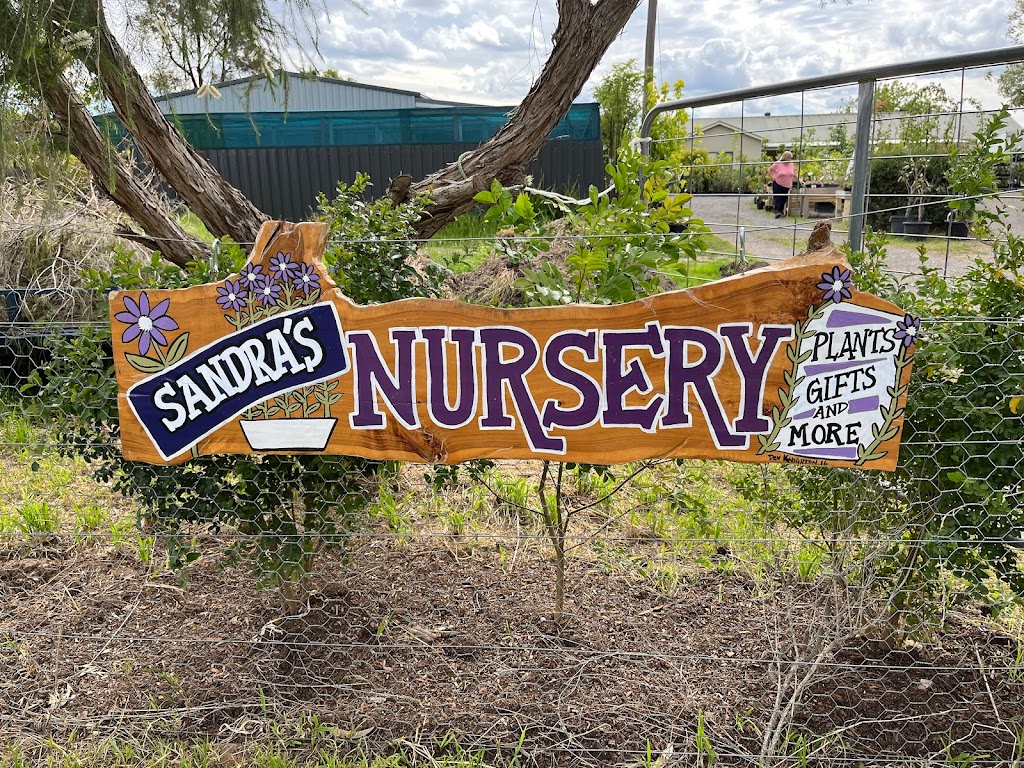sandras nursery | 141 Witt St, Benalla VIC 3672, Australia | Phone: 0417 315 726