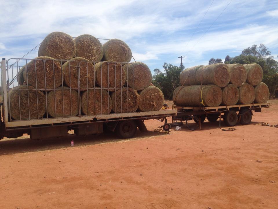 Green Mining Pty Ltd | 21 Railway St, Meekatharra WA 6642, Australia | Phone: 0427 374 102