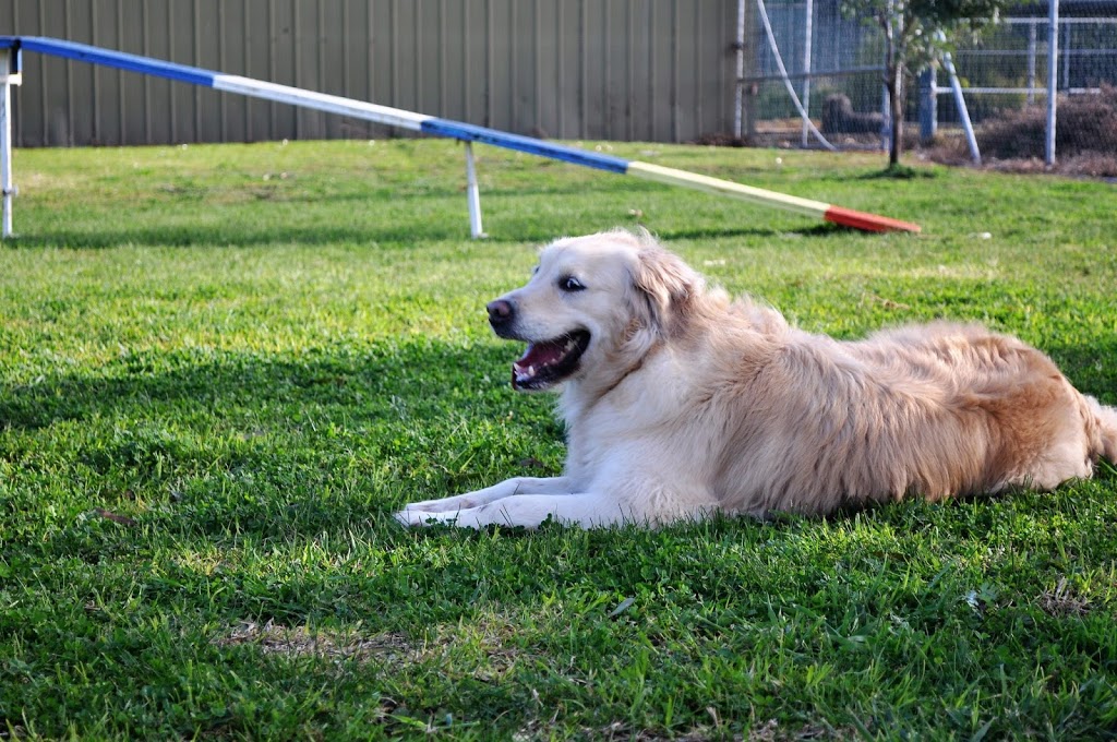 The Pets Hotel Country Club | veterinary care | 170 Elcho Rd, Lara VIC 3212, Australia | 0352821286 OR +61 3 5282 1286