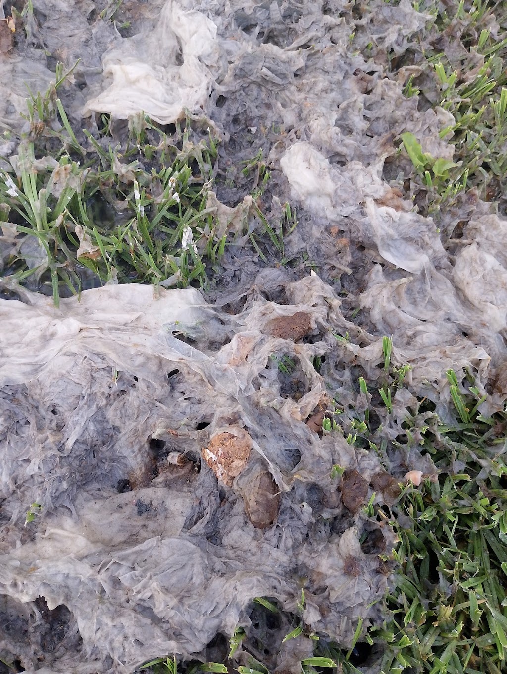 Settlers Rest Caravan Park | 111 Morrison Rd, Longwarry North VIC 3816, Australia | Phone: 0435 941 112