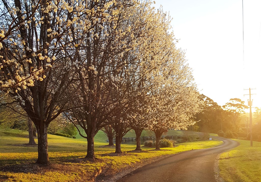 The Drawing Rooms of Berry | lodging | 21 Wattamolla Rd, Berry NSW 2535, Australia | 0244643360 OR +61 2 4464 3360