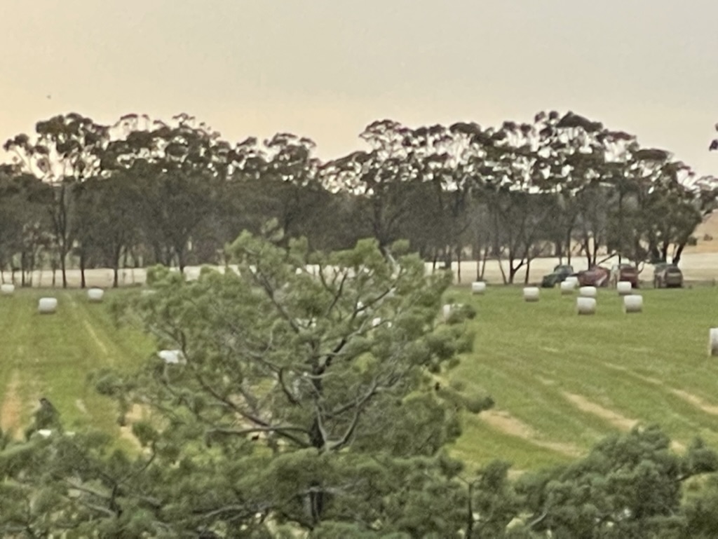 Brewery Farm on Loddon | Brewery Farm, 51 Catto Ln, Newbridge VIC 3551, Australia | Phone: (03) 5438 7547