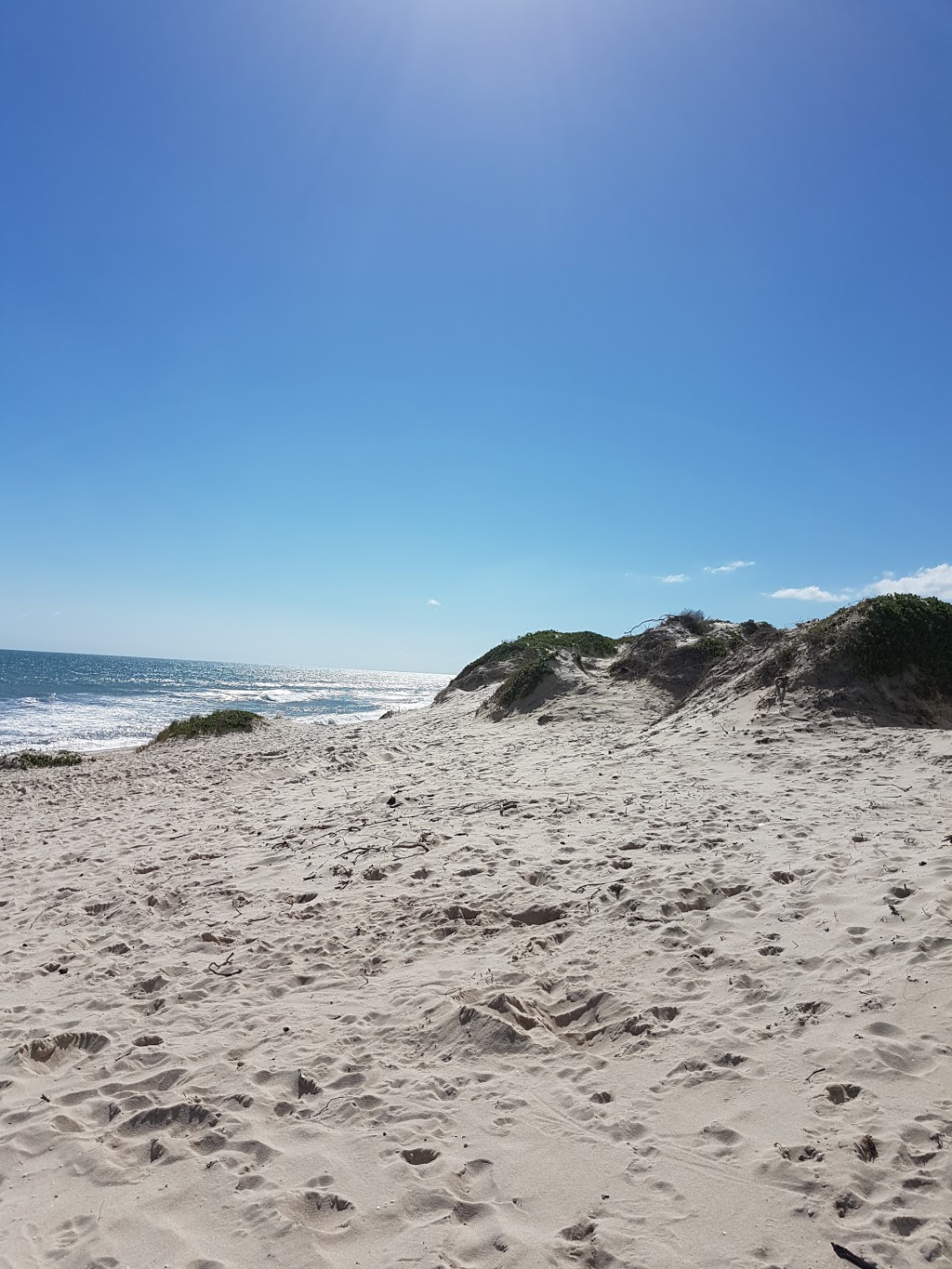 Peasholm Dog Beach | park | w 6019, 360A W Coast Hwy, Scarborough WA 6019, Australia