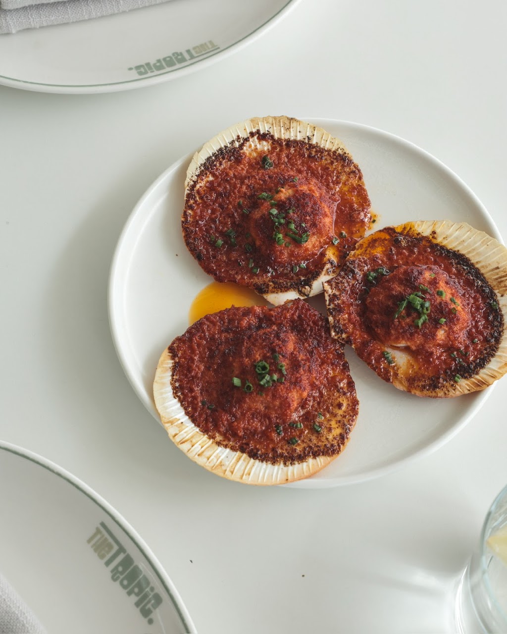 The Tropic | Ground Floor/2 Scenic Hwy, Terrigal NSW 2260, Australia | Phone: (02) 9058 2875