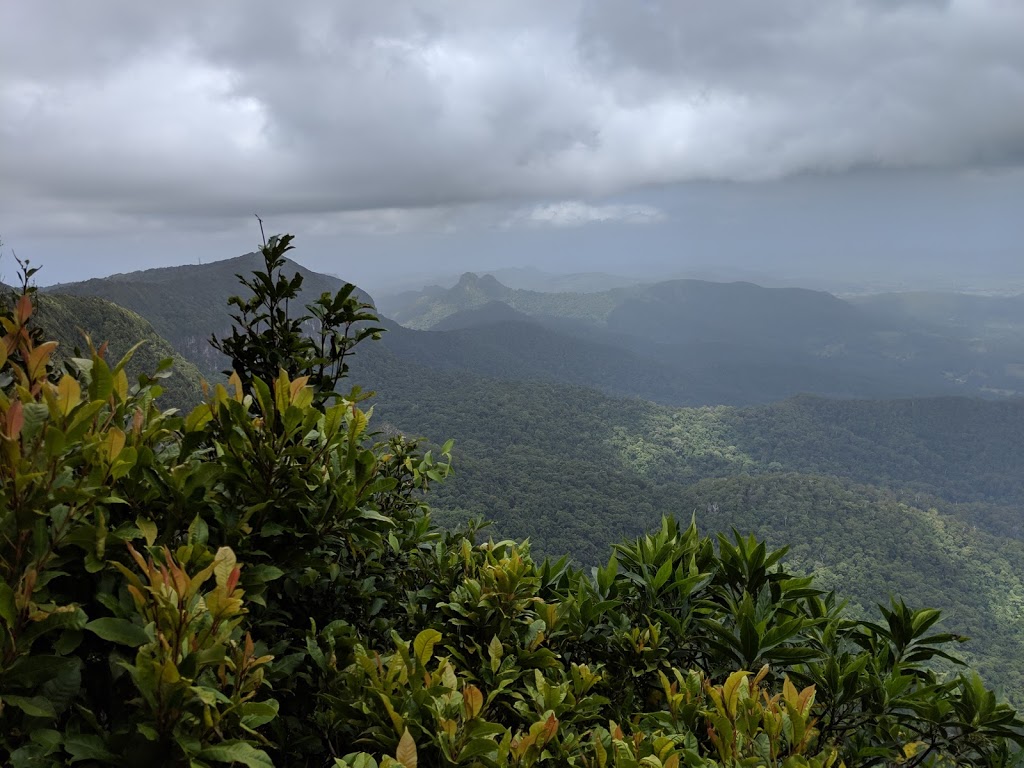 Best Of All Lookout Car Parking | Repeater Station, 402 Repeater Station Rd, Springbrook QLD 4213, Australia | Phone: 13 74 68