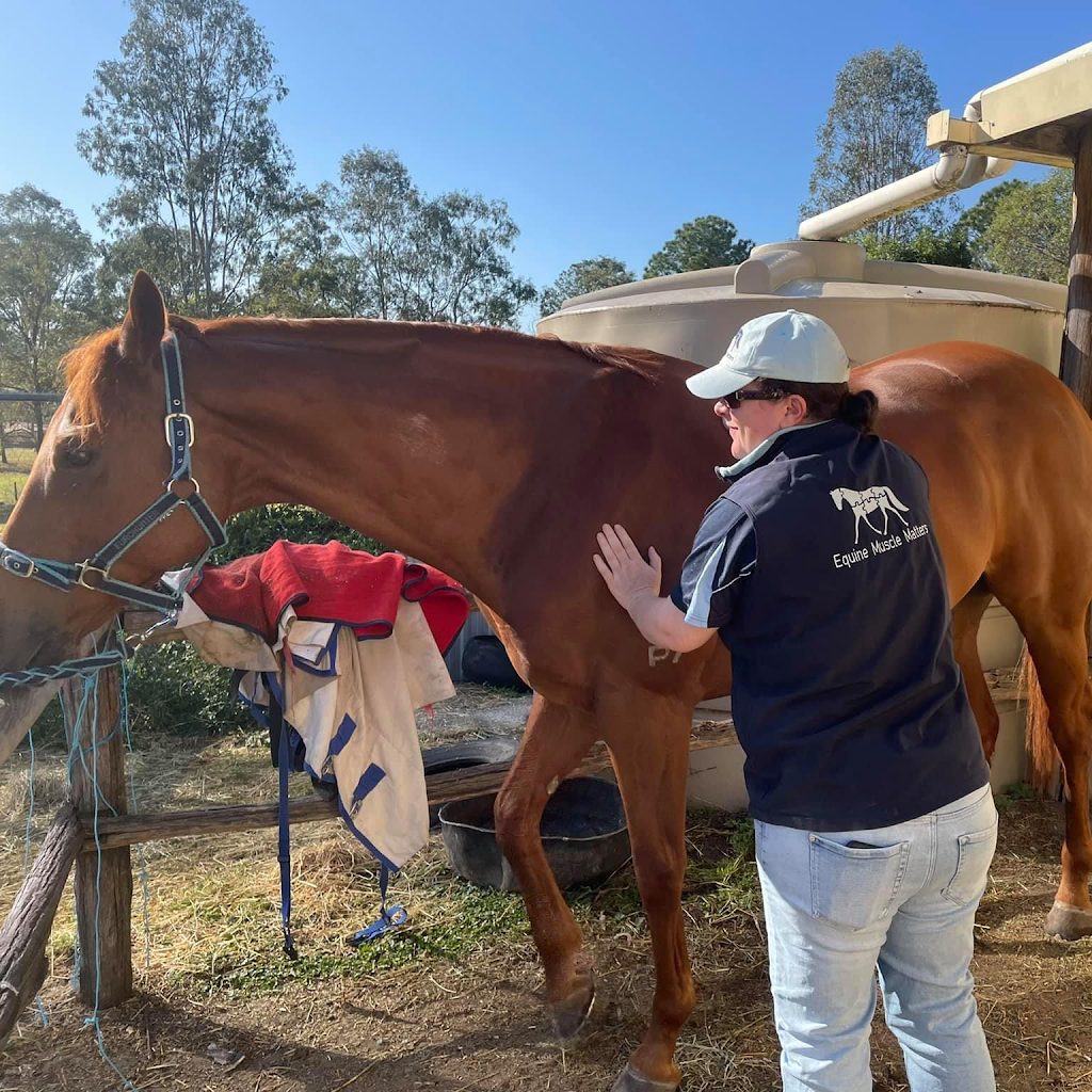 Equine Muscle Matters | 110-118 Attunga Rd, Greenbank QLD 4124, Australia | Phone: 0404 952 036