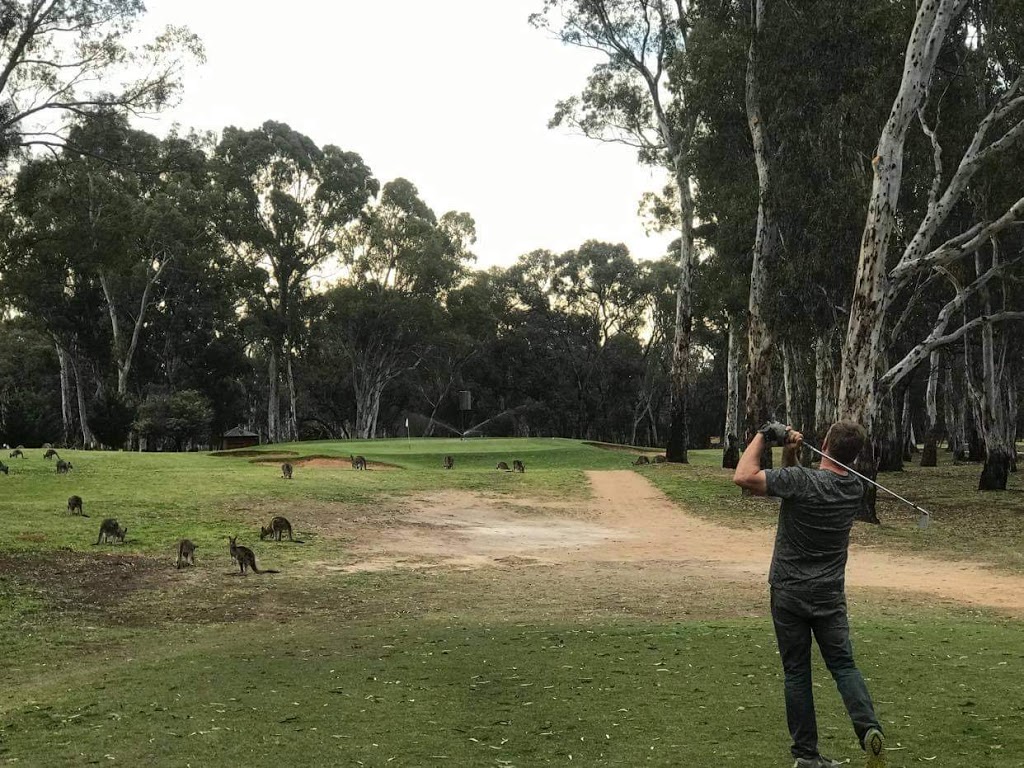 Cohuna Golf Club |  | Cohuna VIC 3568, Australia | 0354562820 OR +61 3 5456 2820