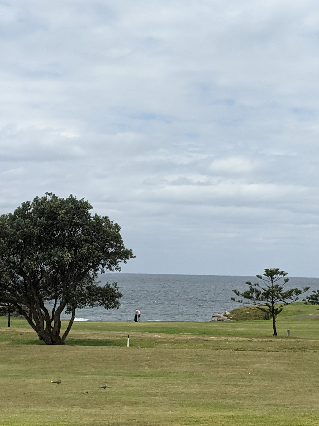 The Coast Golf and Recreation Club |  | 1 Coast Hospital Rd, Little Bay NSW 2036, Australia | 0293117422 OR +61 2 9311 7422