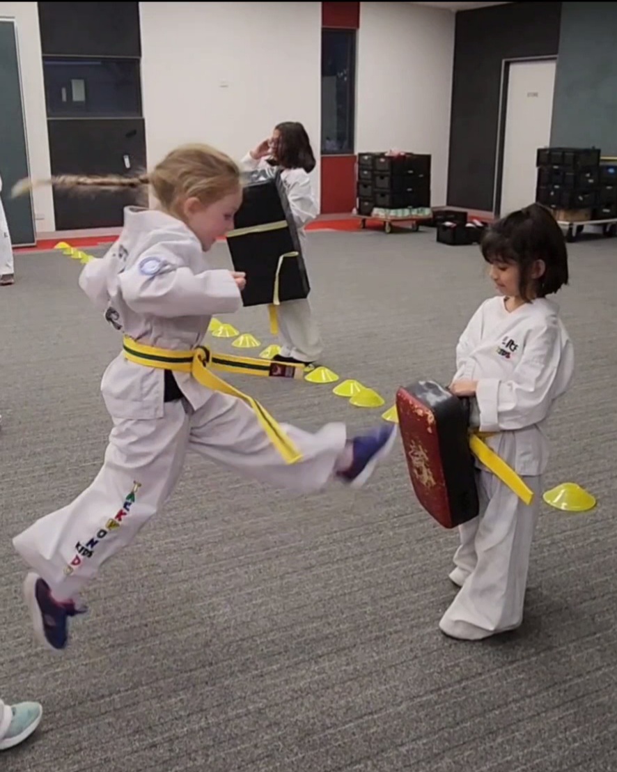 Harmonious Dojang Australia | 91 Grand Scenic Dr, Brookfield VIC 3338, Australia | Phone: 0447 964 456