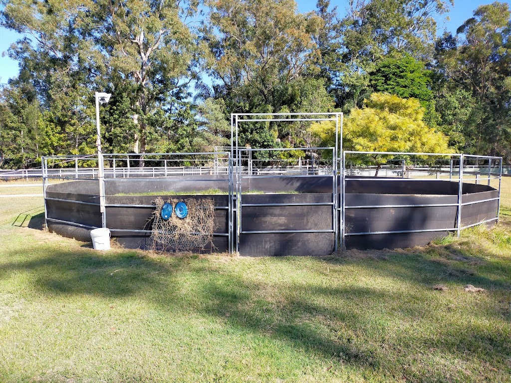 Zamunda Park Equine Services | 967 Stockleigh Rd, Stockleigh QLD 4280, Australia | Phone: 0427 166 164 Zamunda Park Equine Services | 967 Stockleigh Rd, Stockleigh QLD 4280, Australia | Phone: 0427 166 164