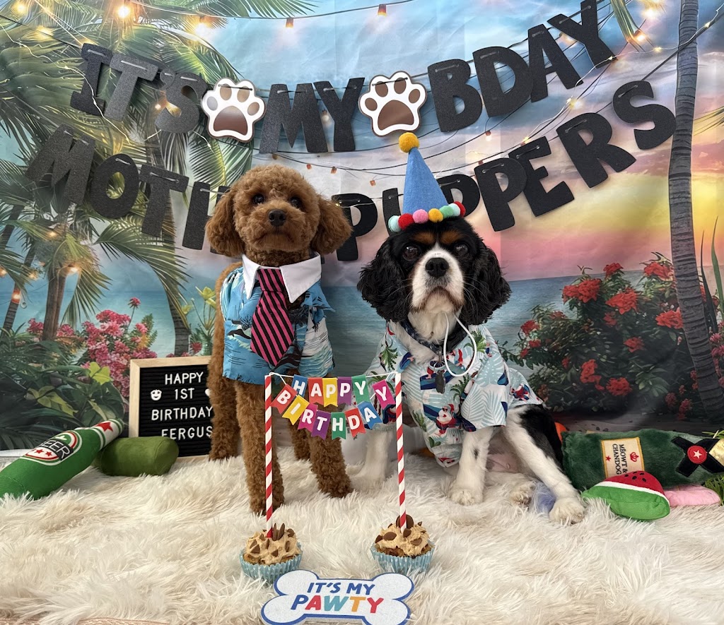 Bears Barking Lot | 24 Mahogany Dr, Plainland QLD 4341, Australia | Phone: 0458 898 973