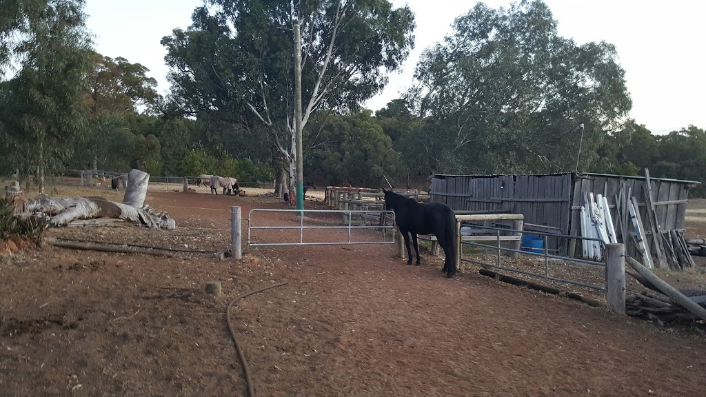 Langford Hill Riding Farm | 136 Elliott St, Waroona WA 6215, Australia | Phone: 0417 911 491