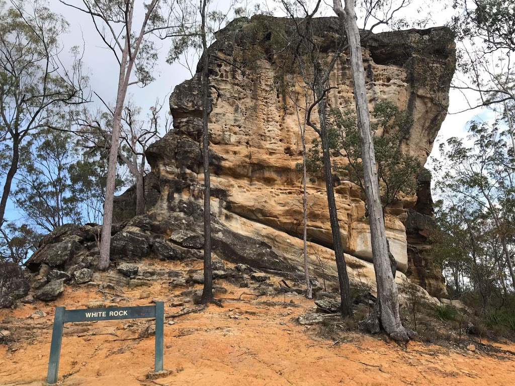 Paperbark Flats Picnic Area | 265-317 School Rd, Redbank Plains QLD 4301, Australia | Phone: (07) 3810 6666