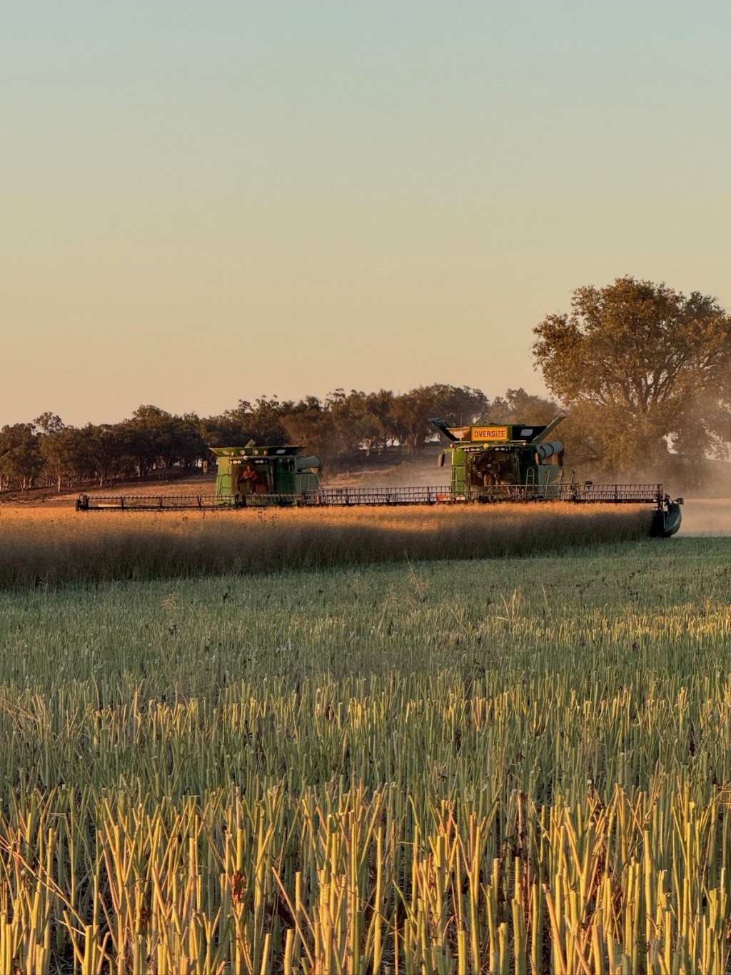 Doherty Ag | 1937 Gollan Rd, Gollan NSW 2820, Australia | Phone: 0439 091 223