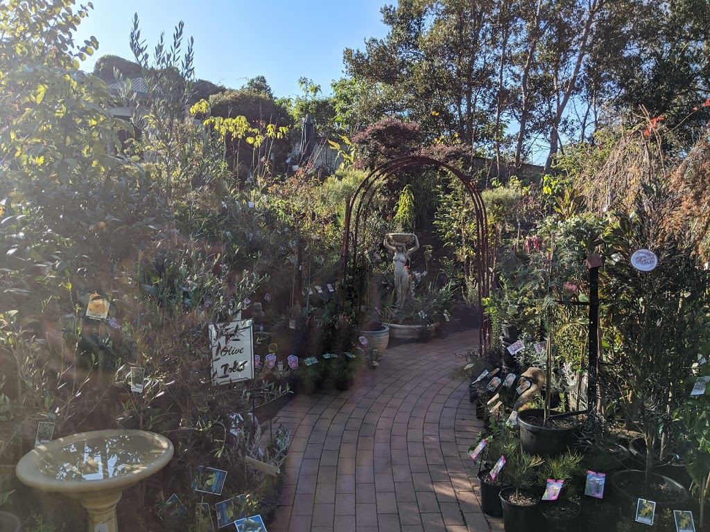 Mother Earth Nursery |  | 1A Annangrove Rd, Kenthurst NSW 2156, Australia | 0296541095 OR +61 2 9654 1095