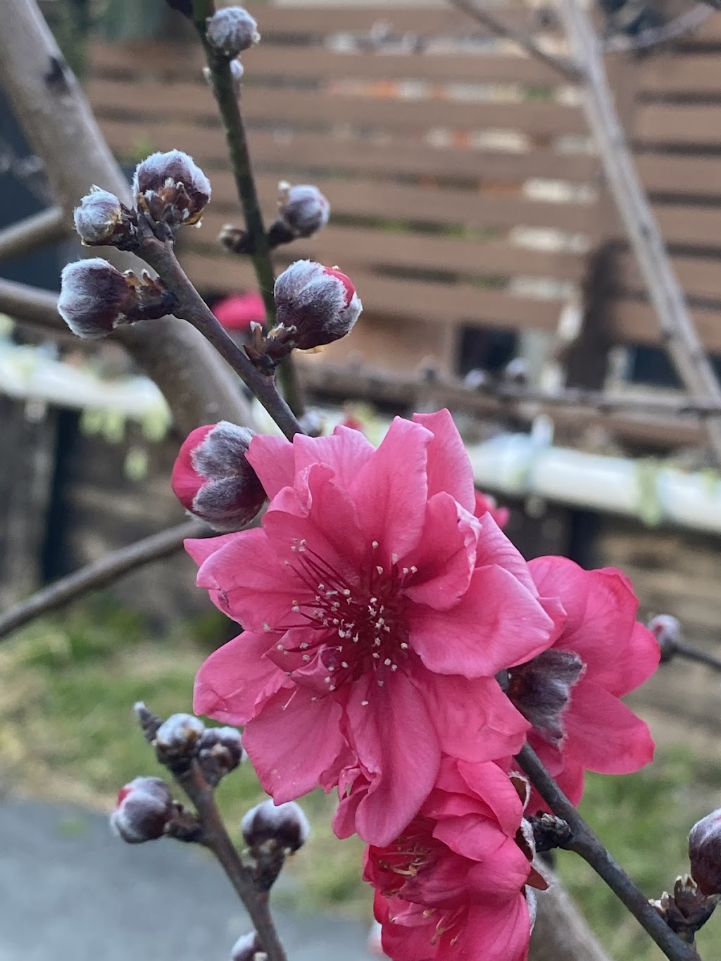 Leanne Hair | 30 Thanbarran Pl, Inala QLD 4077, Australia | Phone: 0481 942 578