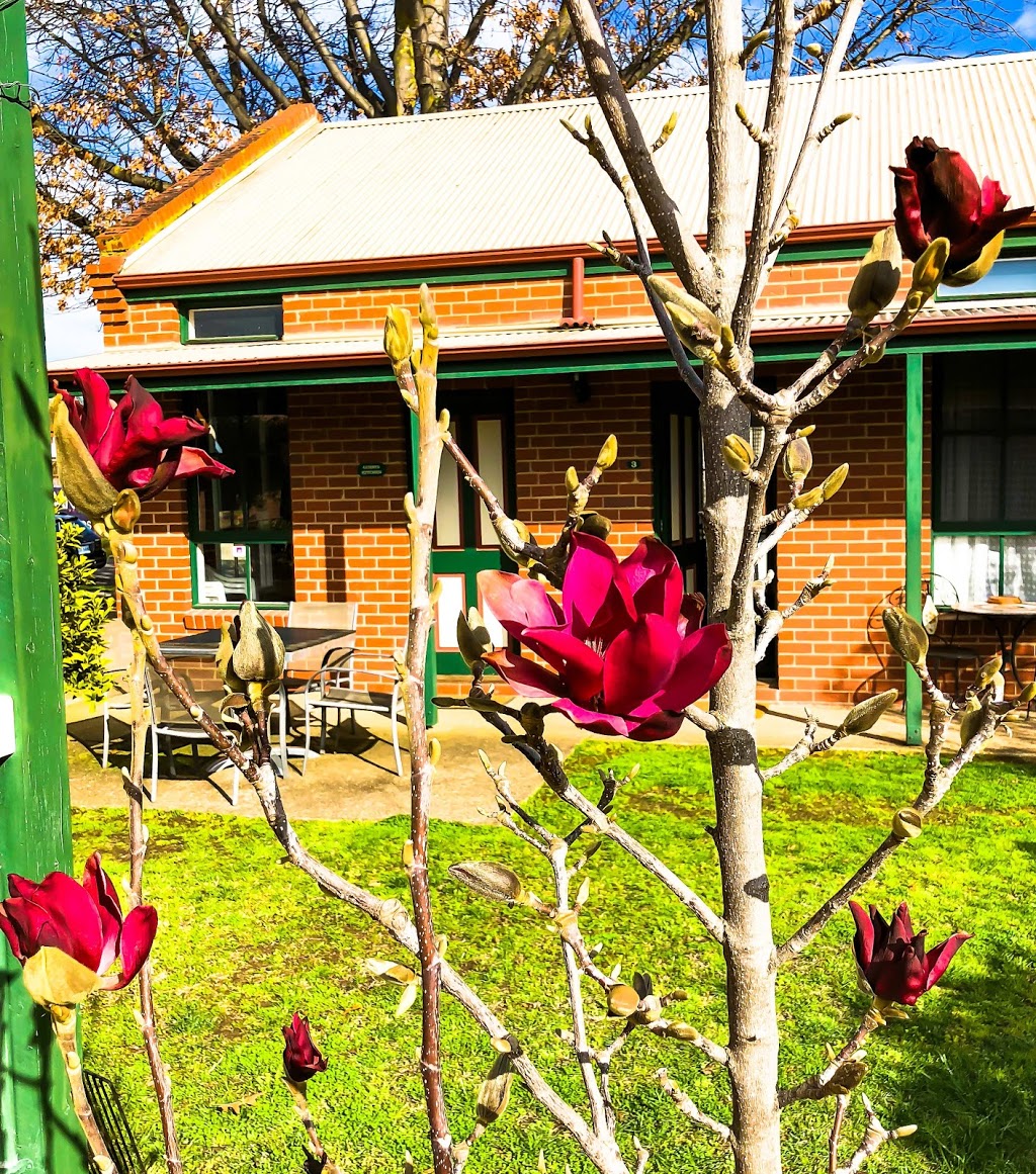 Mansfield Travellers Lodge and Backpackers | lodging | 116 High St, Mansfield VIC 3722, Australia | 0357751800 OR +61 3 5775 1800