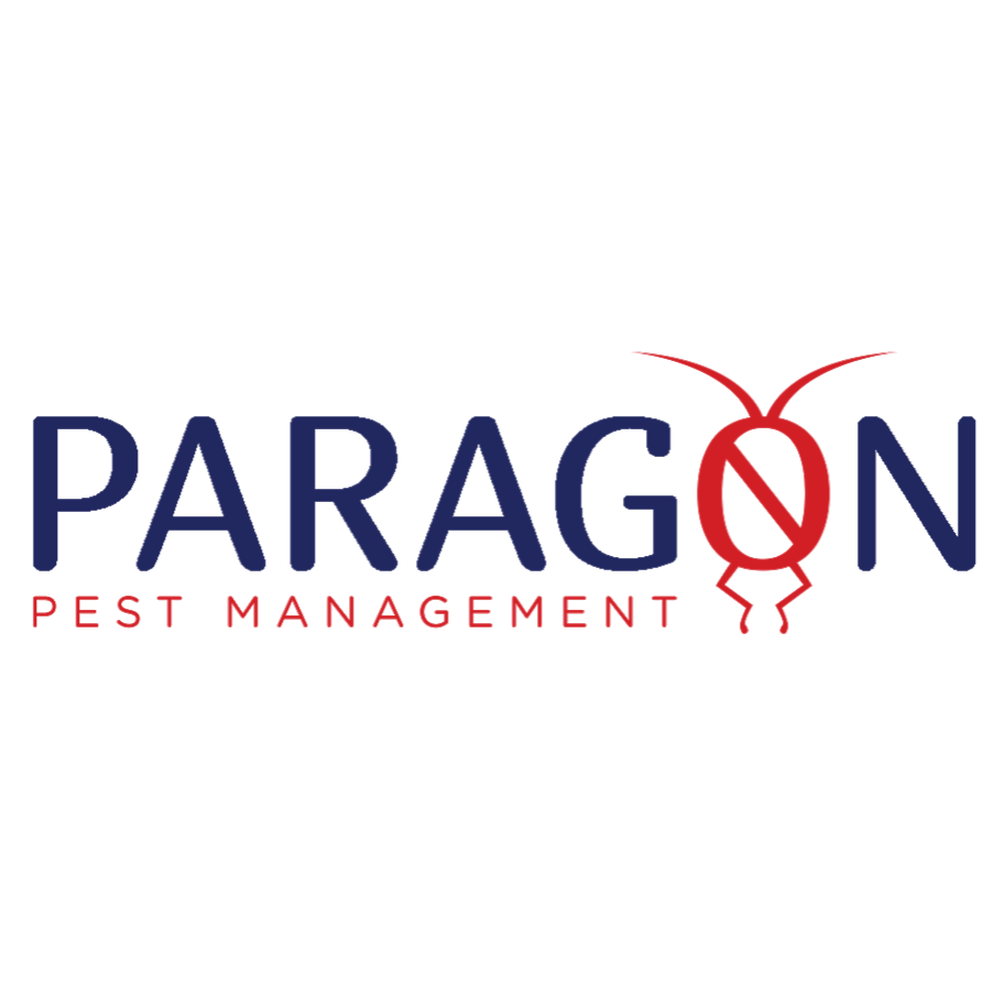 Paragon Pest Management | home goods store | 14 Kalimna St, The Gap QLD 4061, Australia | 1300901046 OR +61 1300 901 046