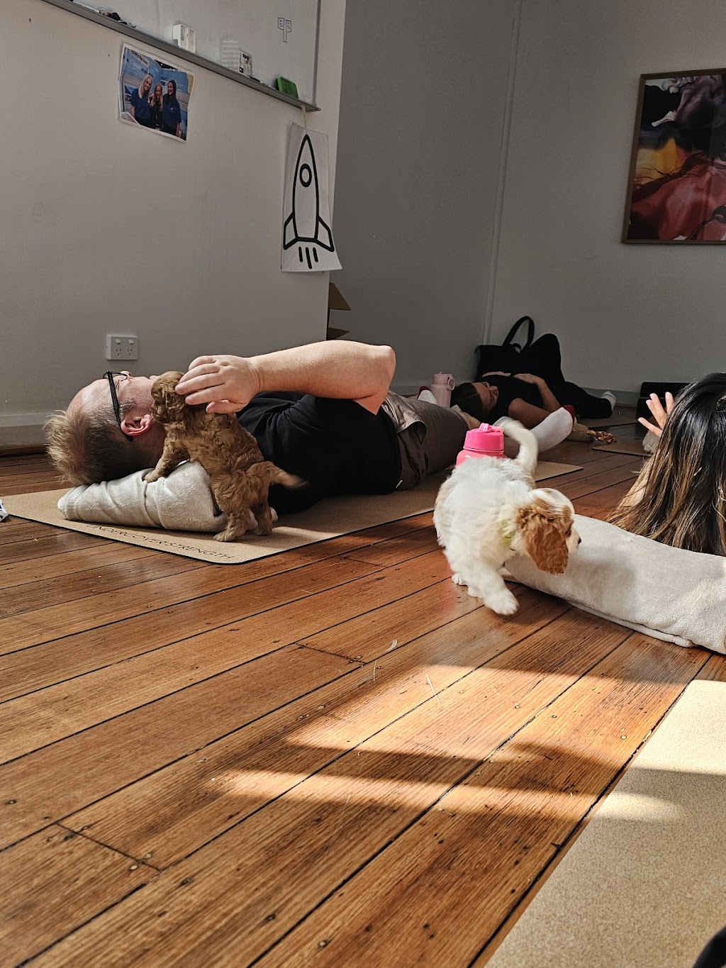 Puppy Yoga Melbourne | 54 Greens Rd, Strathtulloh VIC 3338, Australia | Phone: (03) 9531 4000