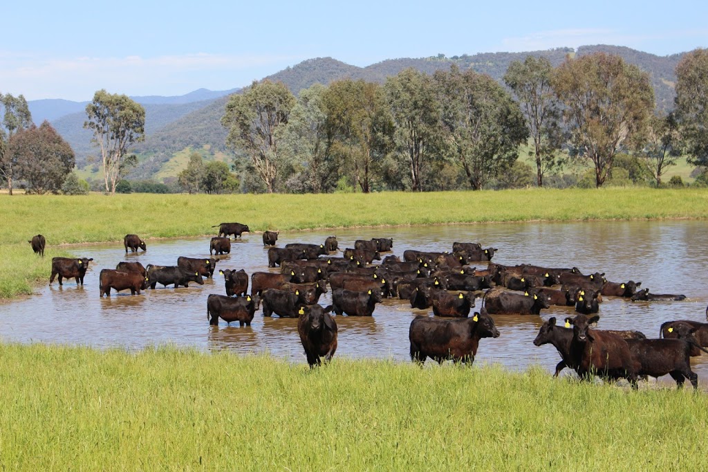 Costello Rural Corryong | 64 Hanson St, Corryong VIC 3707, Australia | Phone: (02) 6076 2054