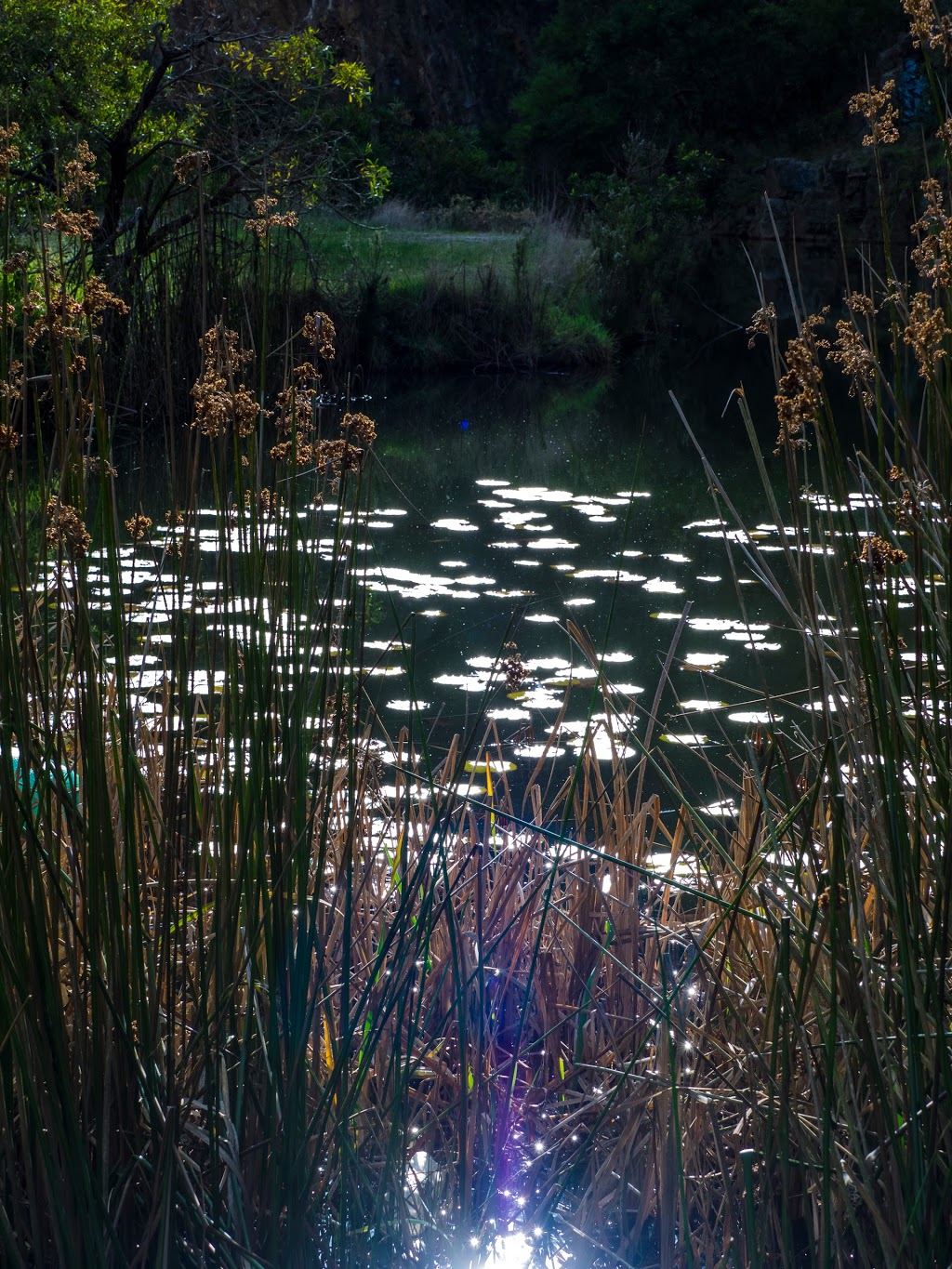 Mount Eliza Regional Park | park | Mount Eliza VIC 3930, Australia