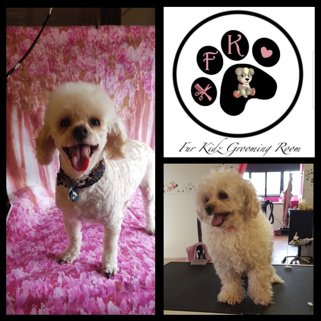 Furkidz Grooming |  | 51 Edgerton Dr, Plainland QLD 4341, Australia | 0401876407 OR +61 401 876 407