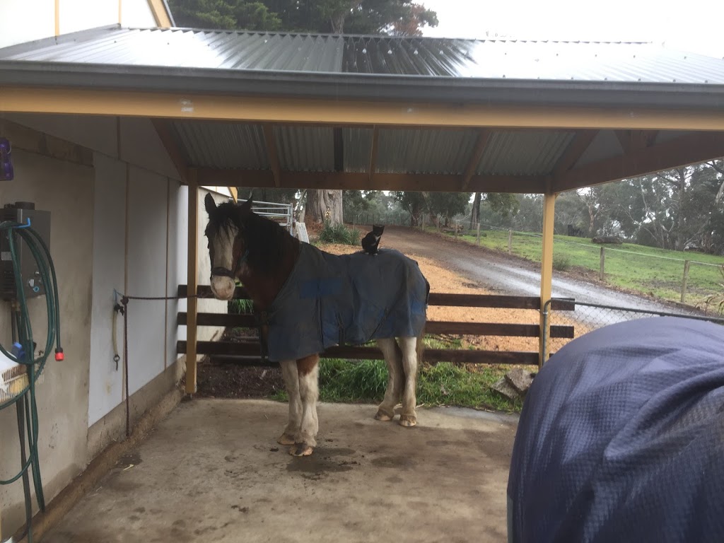 Hidden Rivers Horse Agistment & Laser Therapy | 621 Flaxley Rd, Bugle Ranges SA 5251, Australia | Phone: 0413 580 120