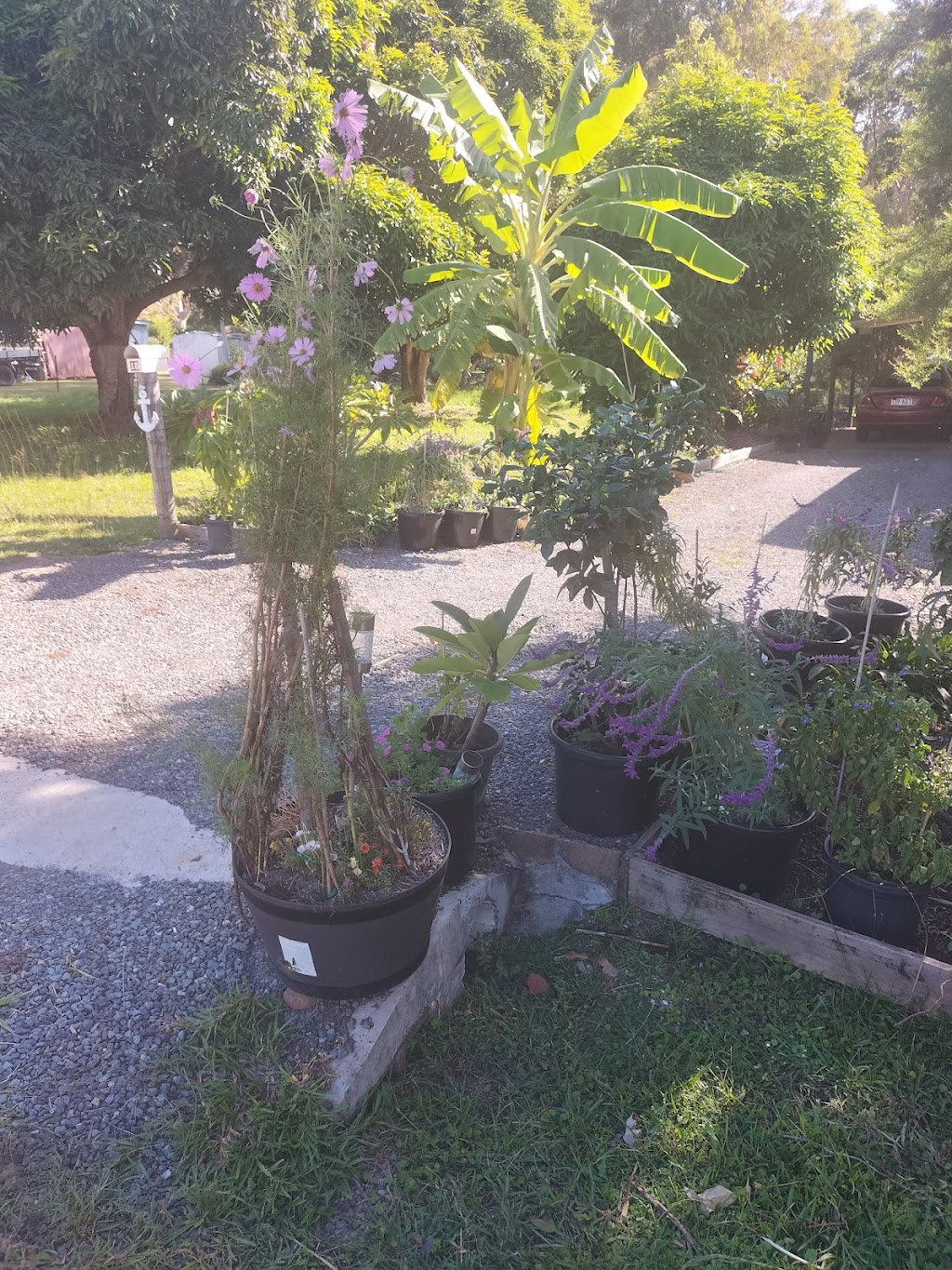 Running Wild Outdoors | 172 High St, Russell Island QLD 4184, Australia | Phone: 0473 435 086