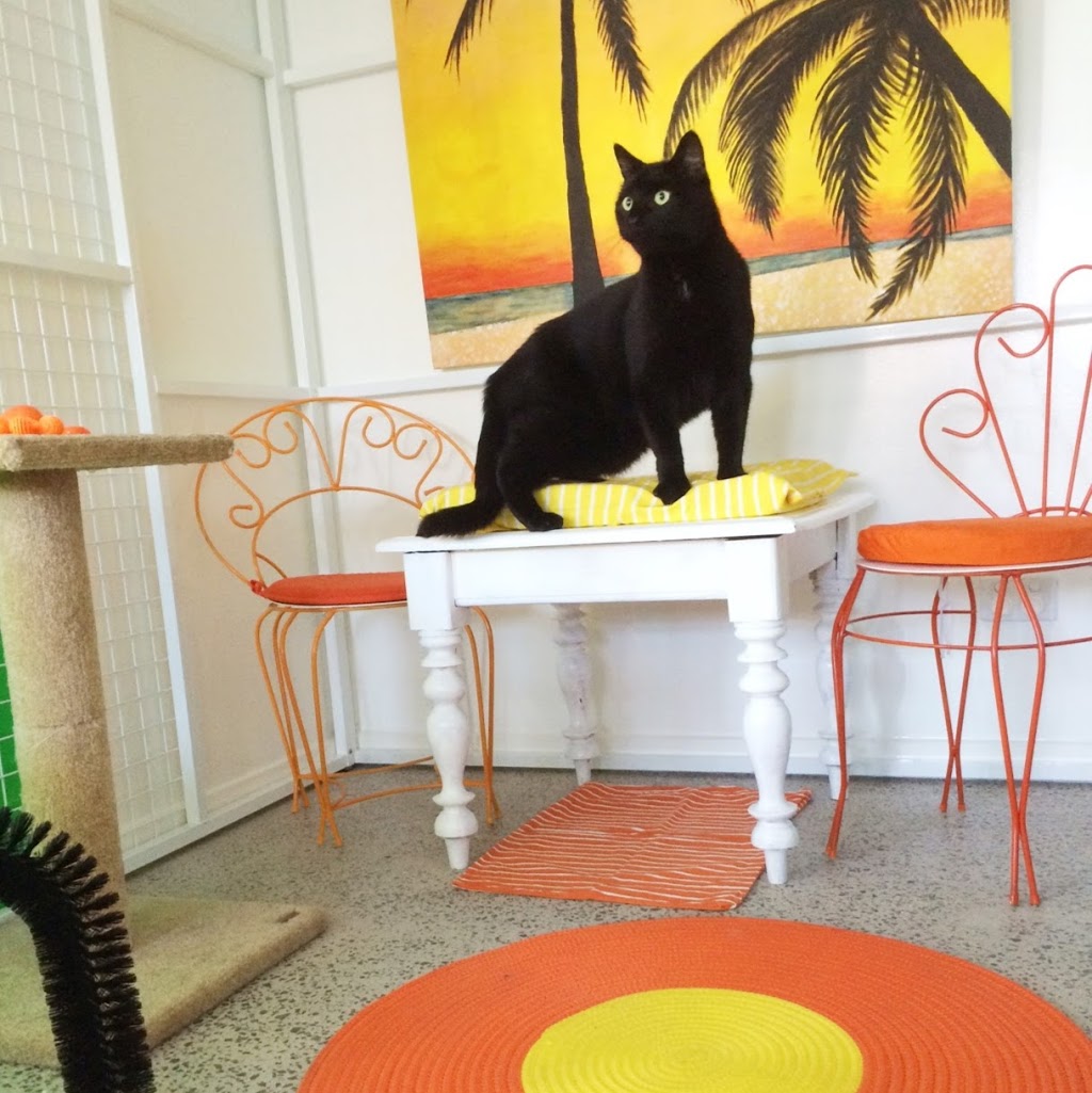 Home Suite Home cat boarding and dog training | 5 Elliott St, Coburg North VIC 3058, Australia | Phone: 0404 225 229