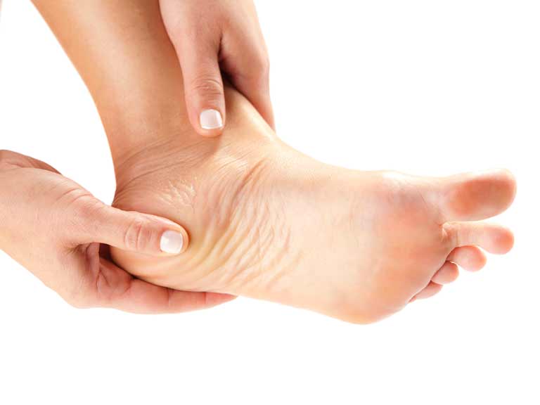 Podiatry at Scarborough Community Centre (173 Gildercliffe St) Opening Hours