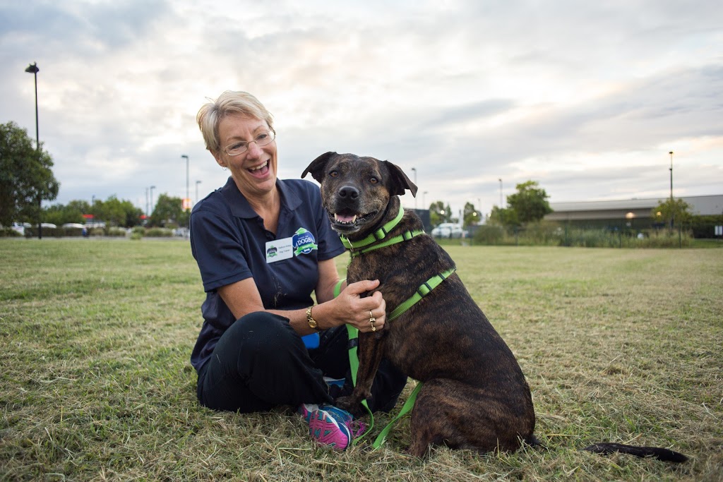 RSPCA School for Dogs - Wacol | 139 Wacol Station Rd, Wacol QLD 4076, Australia | Phone: 1300 790 224