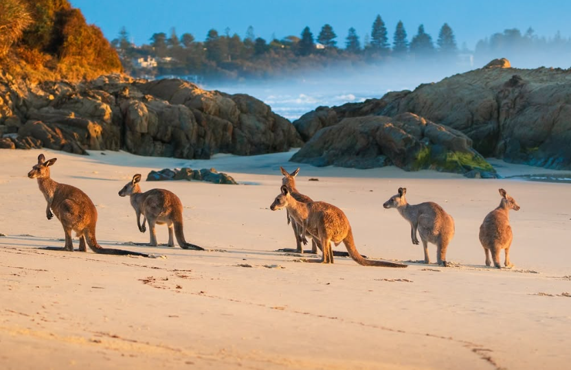 Barefoot Beach Yoga | 375 Blackfellows Point Rd, Potato Point NSW 2545, Australia | Phone: 0427 382 123