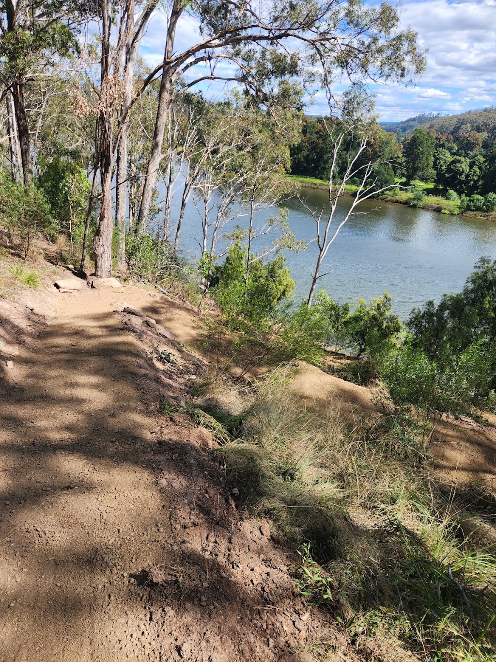 Tomis Bobcat and Excavation | Erie Pl, South Pambula NSW 2549, Australia | Phone: 0447 631 449