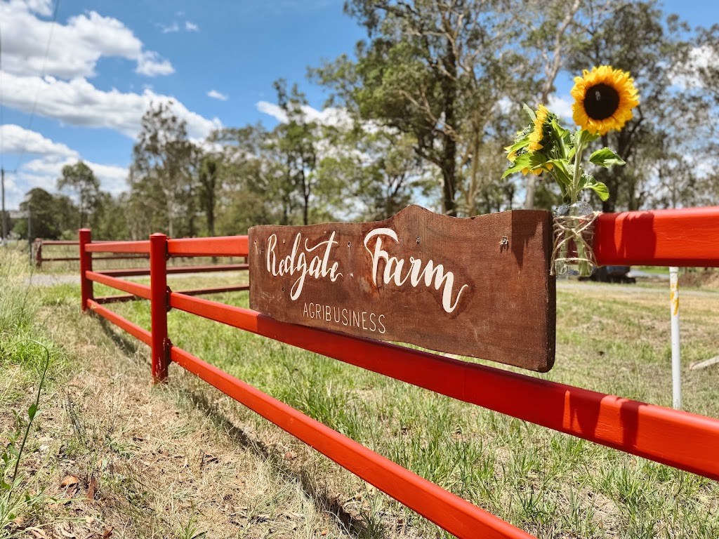 Redgate Farm | 866 Clarence Town Rd, Seaham NSW 2324, Australia | Phone: 0418 663 440