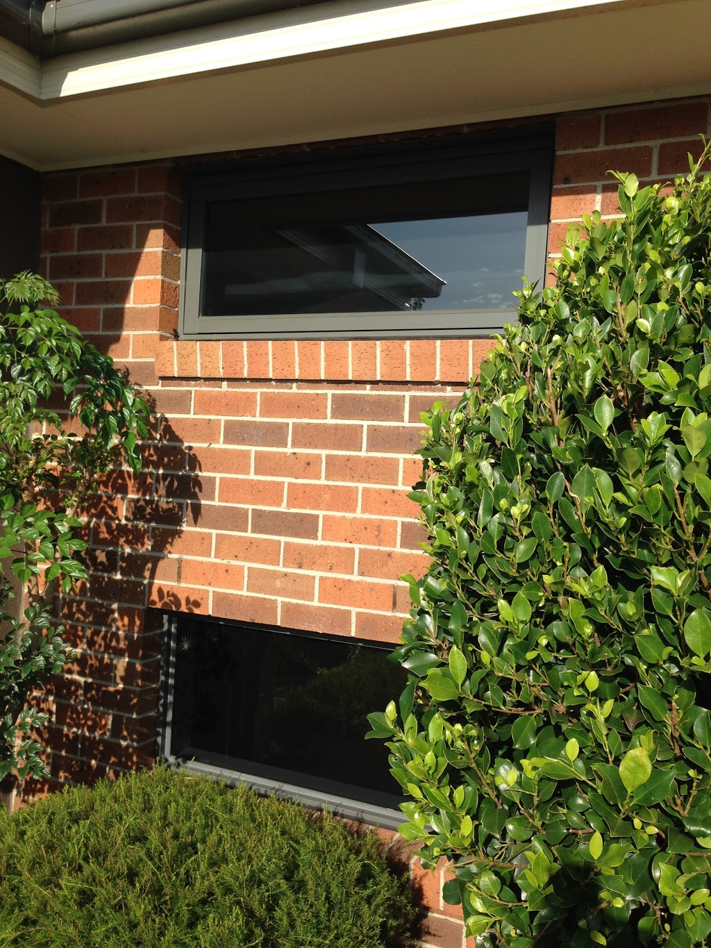 Western Window Coatings Pty Ltd. | 3/9 Kennedy Pl, Maddingley VIC 3340, Australia | Phone: (03) 5367 7977