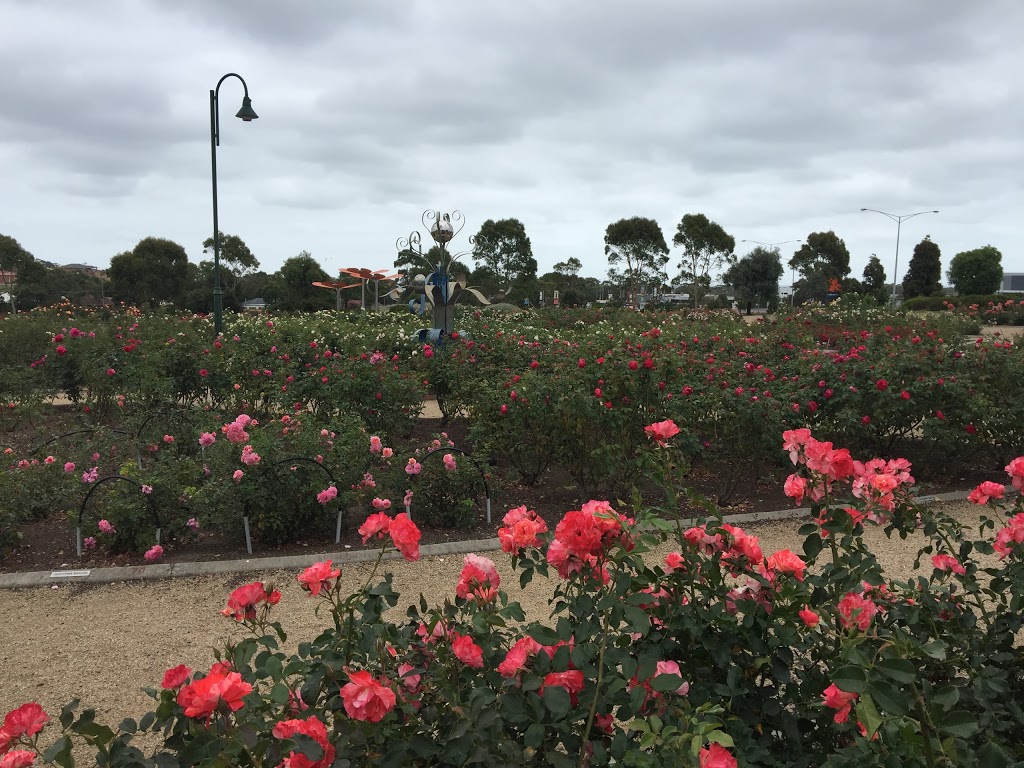 Mornington Botanical Rose Gardens | Dunns Rd & Mornington-Tyabb Rd, Mornington VIC 3931, Australia | Phone: 0459 032 497