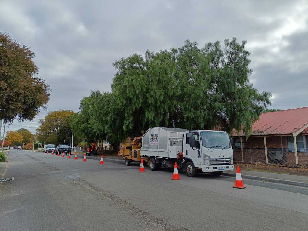 ASAP Arborist | 299 Millvale Rd, Dromedary TAS 7030, Australia | Phone: 0430 682 039