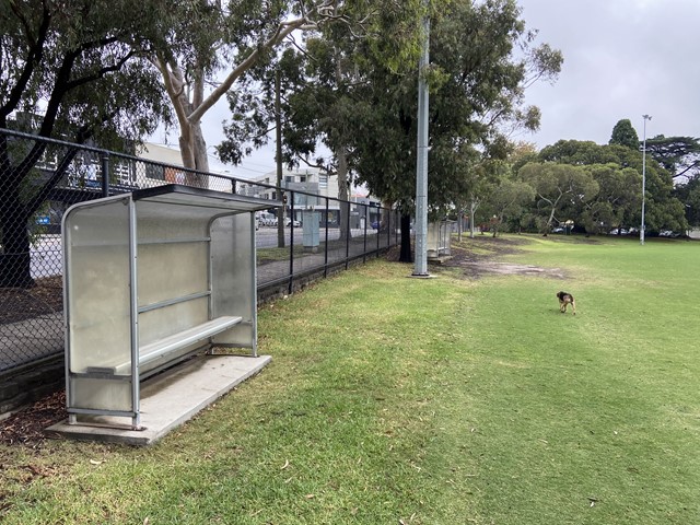 Waverley Park Dog Off Leash Area | 1 Sylvester Cres, Malvern East VIC 3145, Australia | Phone: 0408 114 414